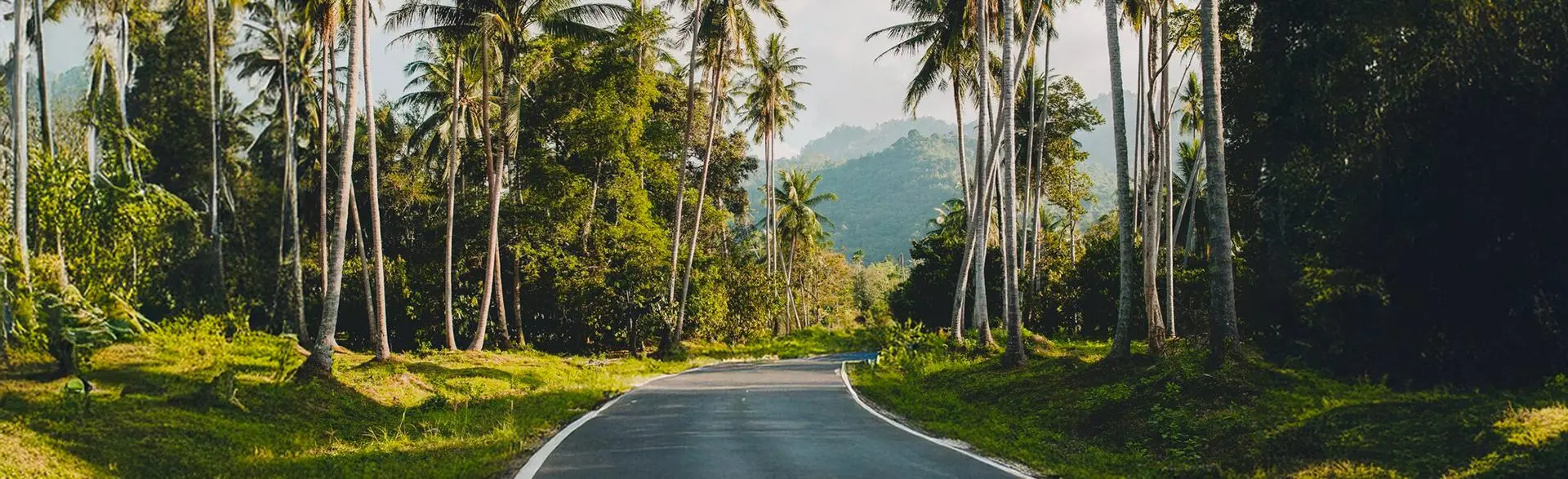 route-tropicale-au-paradis-thailande_285396-7720